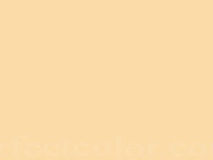 Georgette Half niqab - Rumaysa Fashionz